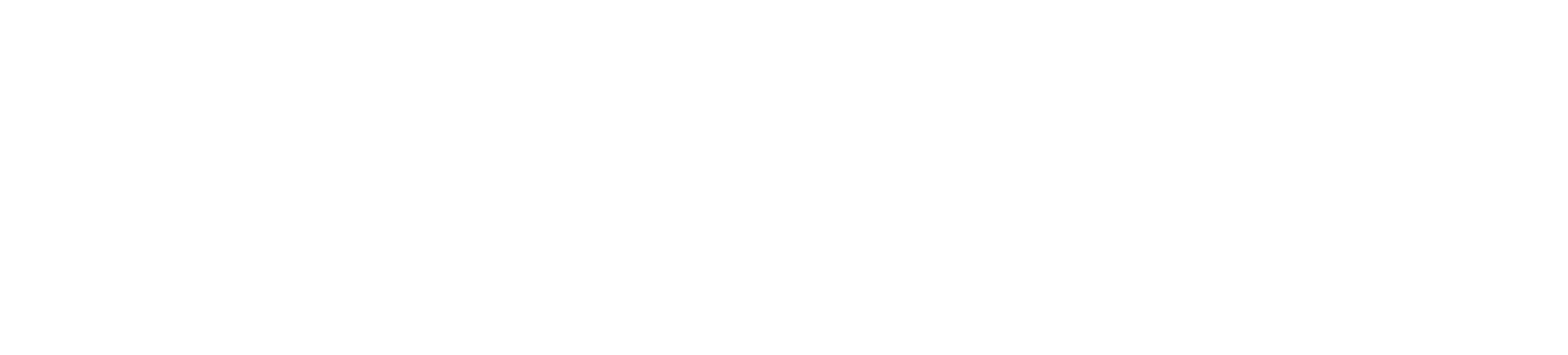 logo-todimo